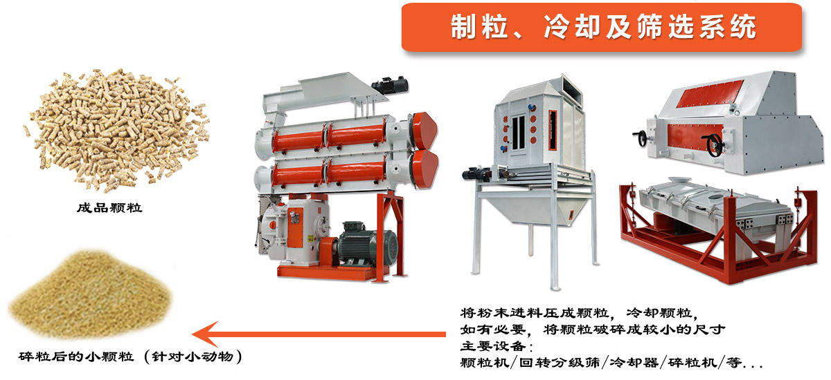 家畜飼料生產線